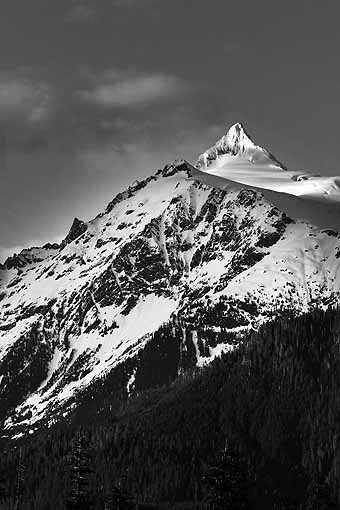 Mt. Baker